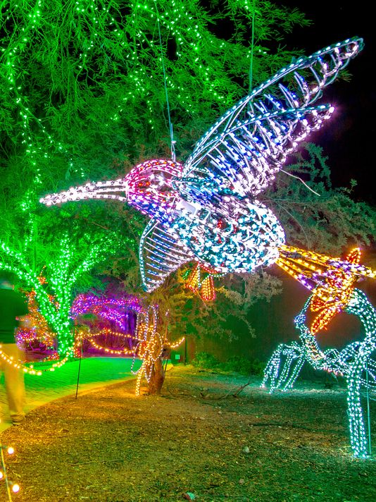 Phoenix Zoo Lights For The Holidays
