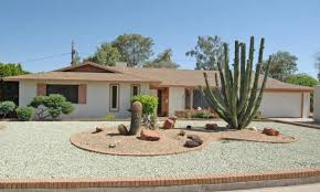 desert landscape vie with cactus