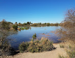 Riparian preserve in gilbert arizona