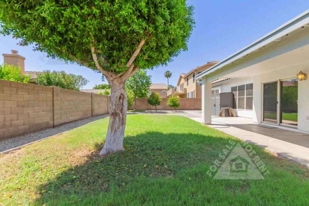 1335 S Larkspur St - Backyard